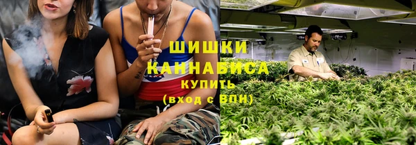 крисы Богданович