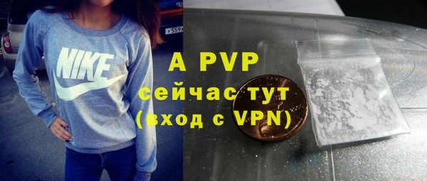 прущие грибы Богородск